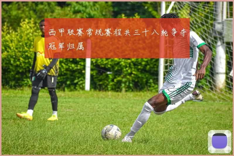 西甲联赛常规赛程共三十八轮争夺冠军归属