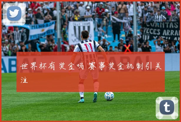世界杯有奖金吗 赛事奖金机制引关注