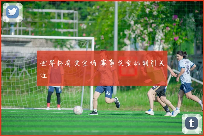 世界杯有奖金吗 赛事奖金机制引关注