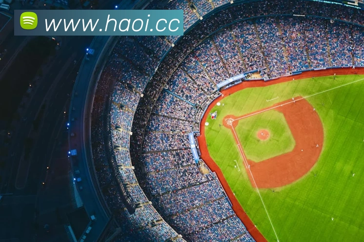 mksports足球资讯服务体系